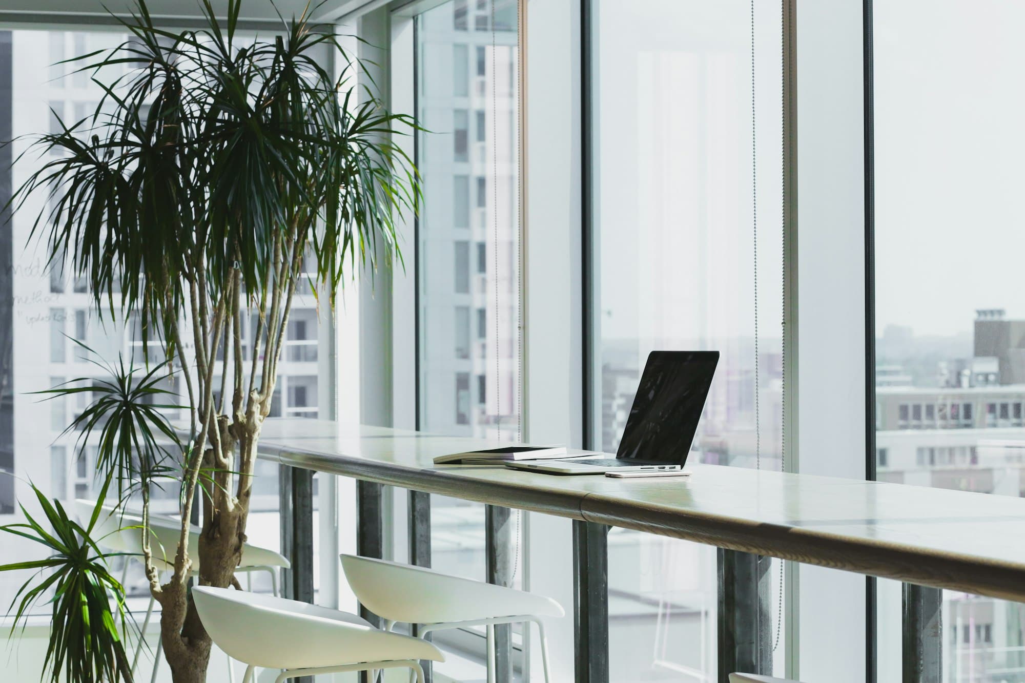 A quiet, light-filled office with a long desk by floor-to-ceiling windows